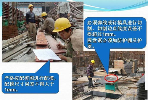 模板工程施工技術(shù)交底要點(diǎn)與工人培訓(xùn)指南